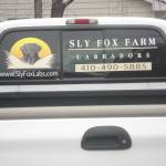 SLY FOX FARM