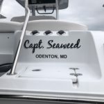 CAPT. SEAWEED 2019 copy
