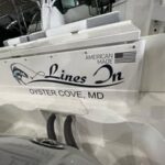 481453814_9264458246972155_8000761569501130074_n